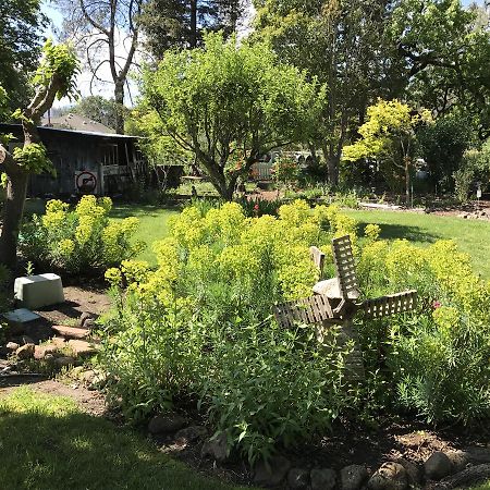Trailside Inn Bed And Breakfast Calistoga Buitenkant foto