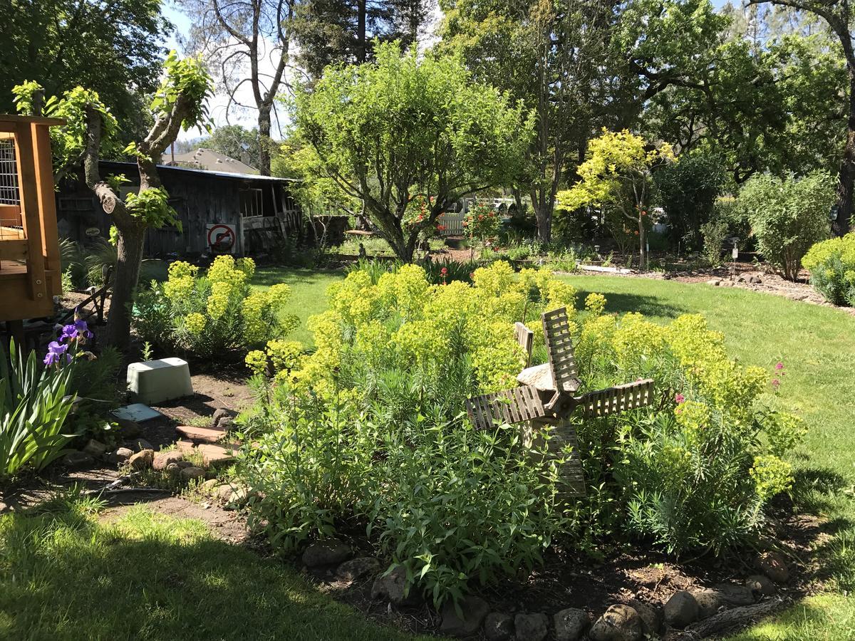 Trailside Inn Bed And Breakfast Calistoga Buitenkant foto